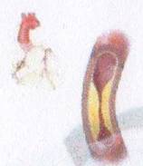 E:\Терапия\Терапия002.jpg