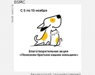  В БГМК проходит благотворительная акция «Поможем братьям нашим меньшим»