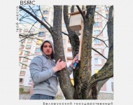 В общежитии колледжа завершилась акция «Подарим дом птице», приуроченная к Международному дню птиц